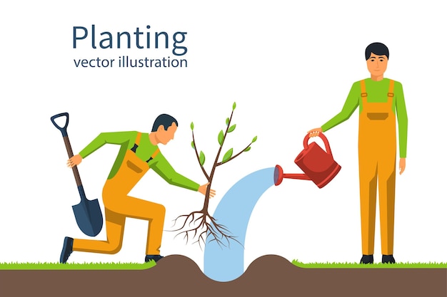 Plantación de árboles. Jardinero con pala y regadera en la mano. Concepto de plantación de procesos. Jardinería, agricultura, cuidado del medio ambiente. Diseño plano de ilustración vectorial. Retoño joven.