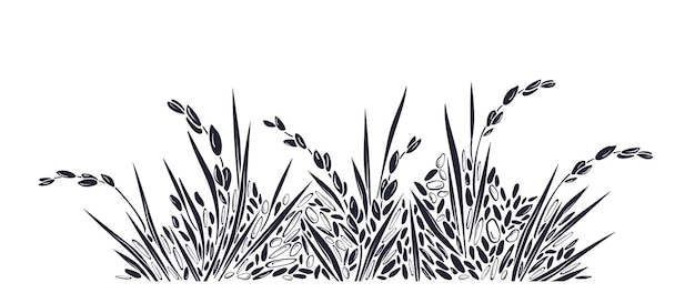 Plantación de arroz Frontera de grano Vector campo de arroz
