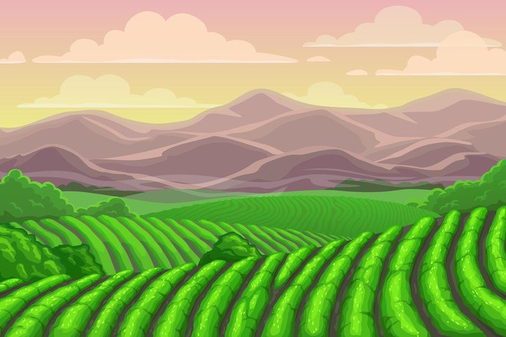 Vector plantaciones de té en el paisaje montañoso de china