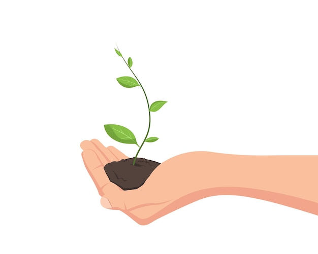 Plantando de la mano con la tierra el concepto de crecimiento cuidado de la naturaleza aislado en un fondo blanco