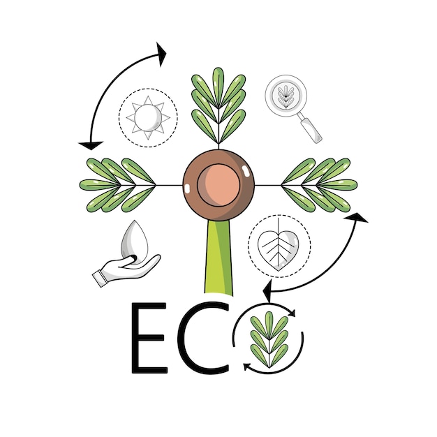 Plantar con ramas y hojas para la conservación de la ecología