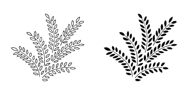 Plantas_824