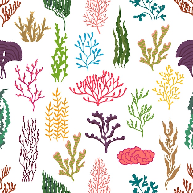 Plantas de algas submarinas con un patrón sin costuras