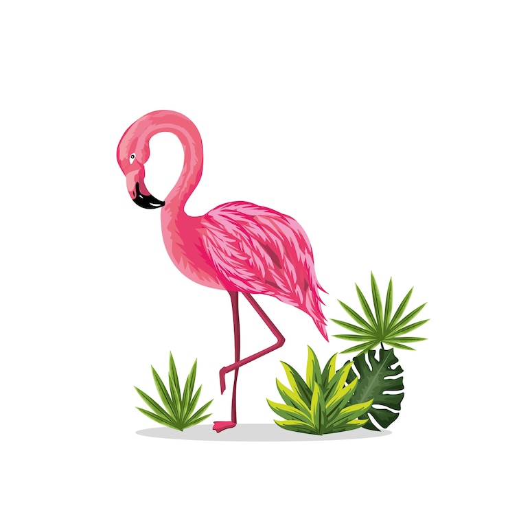 Vector plantas de belleza y flores lindas con fondo de flamenco