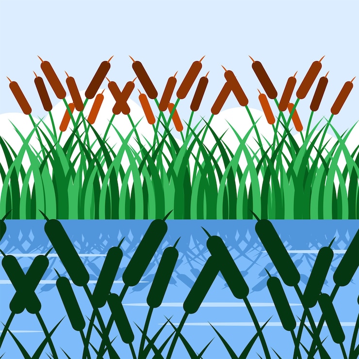 Vector plantas de bulrush aisladas