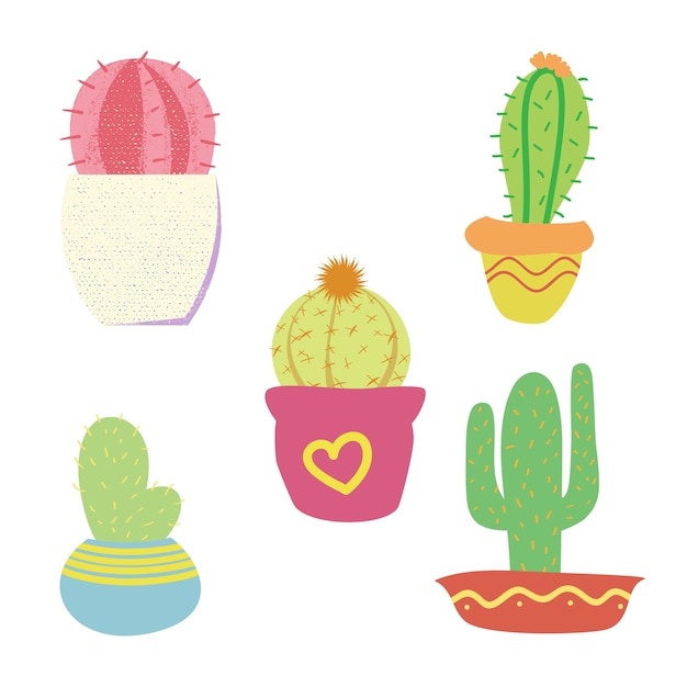 plantas de cactus decoradas, ilustración, icono de planta suculenta, cactus gráfico, cactus, gráfico, clipart