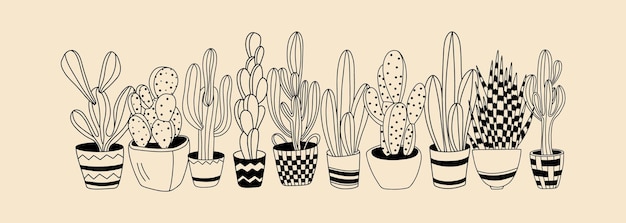 Plantas de cactus en macetas plantas de interior dibujadas a mano ilustración vectorial