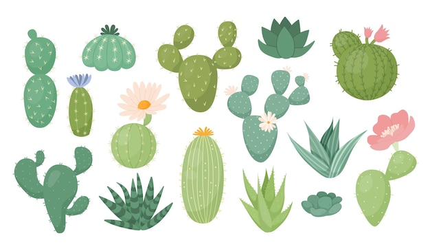 Plantas de cactus de México Colección de cacti silvestres Naturaleza brillante Flores decorativas y suculentas Elementos de dibujo del desierto bonitos Plantas de interior dibujadas a mano de verano Ilustración plana de dibujos animados vectoriales