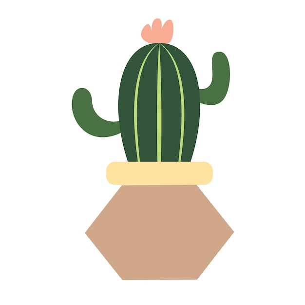 Plantas de cactus en una olla