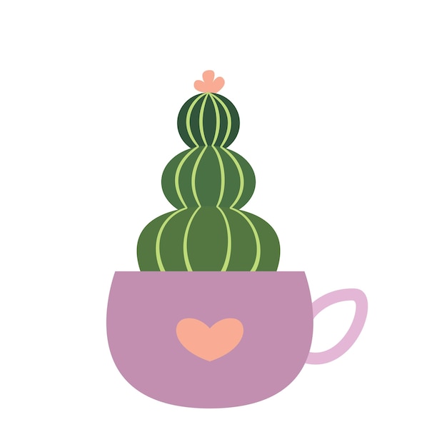 Plantas de cactus en una olla
