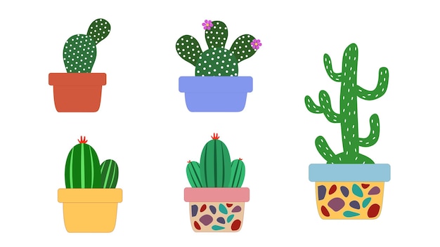 Plantas de cactus verdes para la imagen del tema de la naturaleza