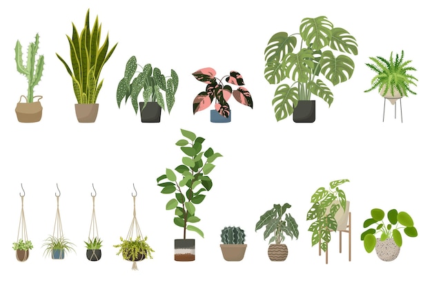 Las plantas de la casa establecen el soporte de la maceta interior y las perchas de la planta de macramé ilustración vectorial de dibujos animados