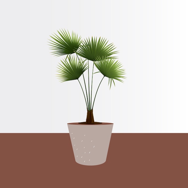 Vector plantas de la casa en la ilustración de tob