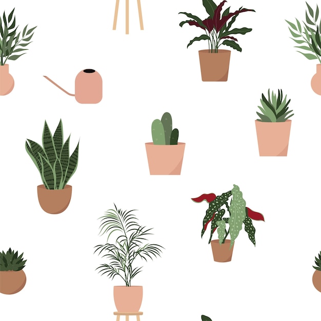 Plantas de la casa de patrones sin fisuras