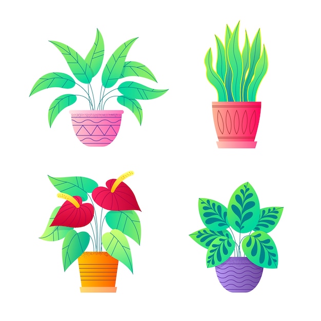 Vector plantas caseras en la colección de vectores de macetas.