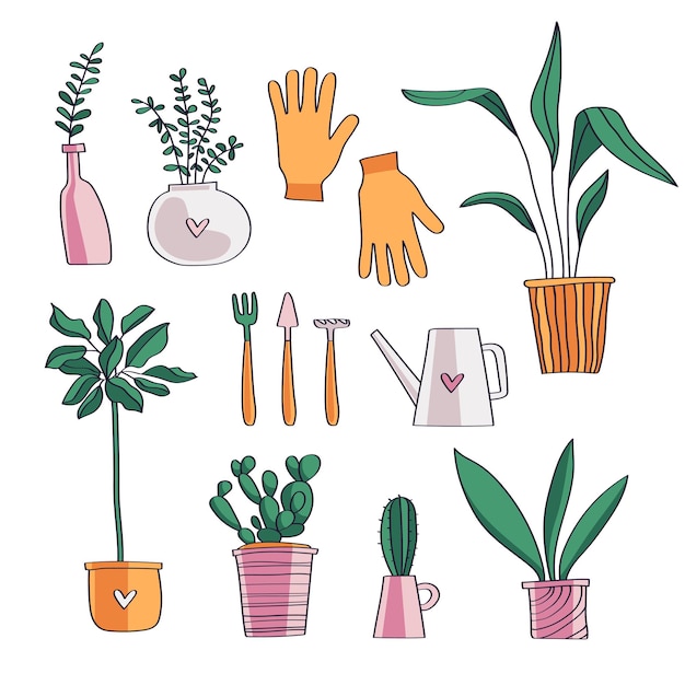 Vector plantas caseras conjunto de vectores dibujados a mano plantas en macetas cactus palmera suculentas