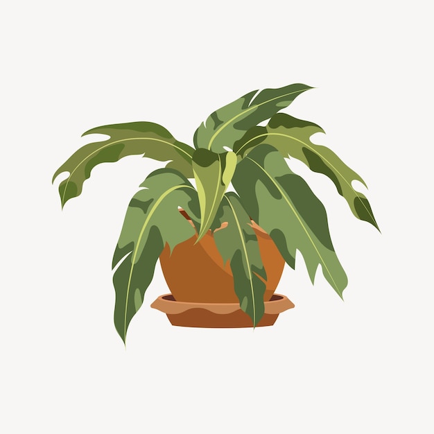 Plantas caseras en una maceta. Plantas de interior aisladas. Ilustración de la planta