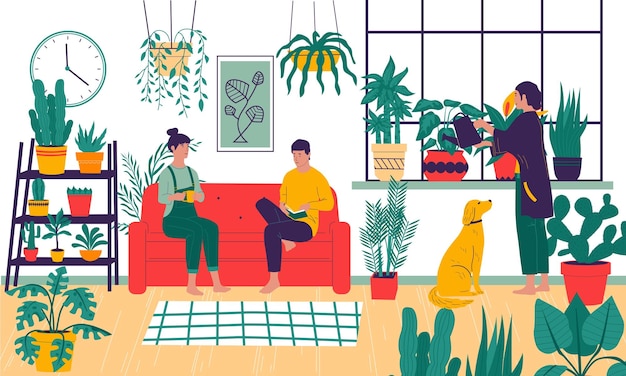 Plantas caseras Las personas de dibujos animados cultivan ficus en apartamentos Cómodo interior de la habitación decorado con flores en macetas Mujer regando y cuidando las plantas de interior ilustración vectorial