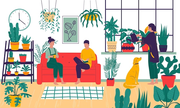 Plantas caseras las personas de dibujos animados cultivan ficus en apartamentos cómodo interior de la habitación decorado con flores en macetas mujer regando y cuidando las plantas de interior ilustración vectorial