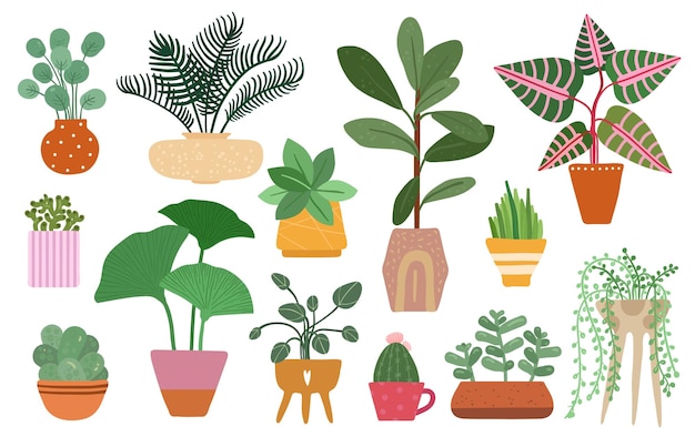 Plantas caseras Planta aislada en maceta plantando ficus yuca y helecho Planta de interior tropical y suculentas árboles de interior Conjunto de jardín vectorial Ilustración jardín casa flor verde colección decorativa