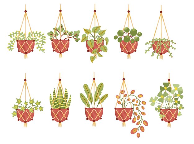 Vector plantas colgantes