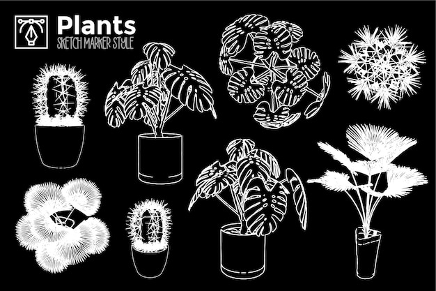 Plantas dibujadas a mano. conjunto de vistas de plantas aisladas.
