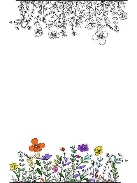 Plantas dibujadas a mano divisores coronas marcos de borde vector