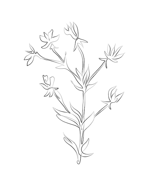 Vector plantas de dibujo lineal boceto negro planta de campo flor silvestre con hoja ilustración de una línea impresiones minimalistas hierba