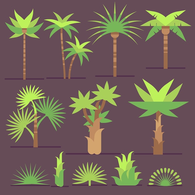 Vector plantas exóticas tropicales y palmeras vector iconos planos. conjunto de árboles con hojas verdes, ilustración