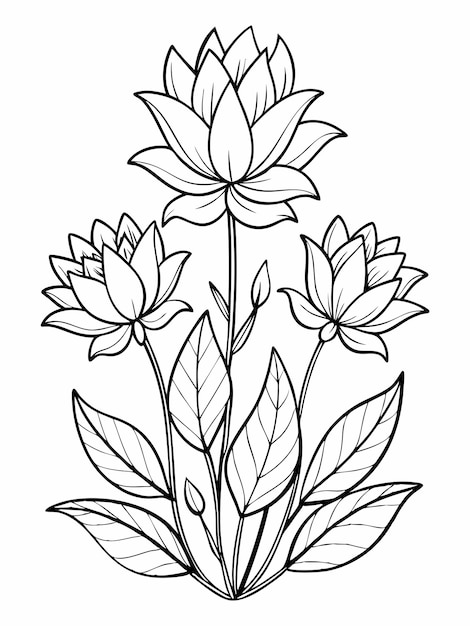Plantas con flores para colorear páginas de libros para niños y adultos con diseño vectorial
