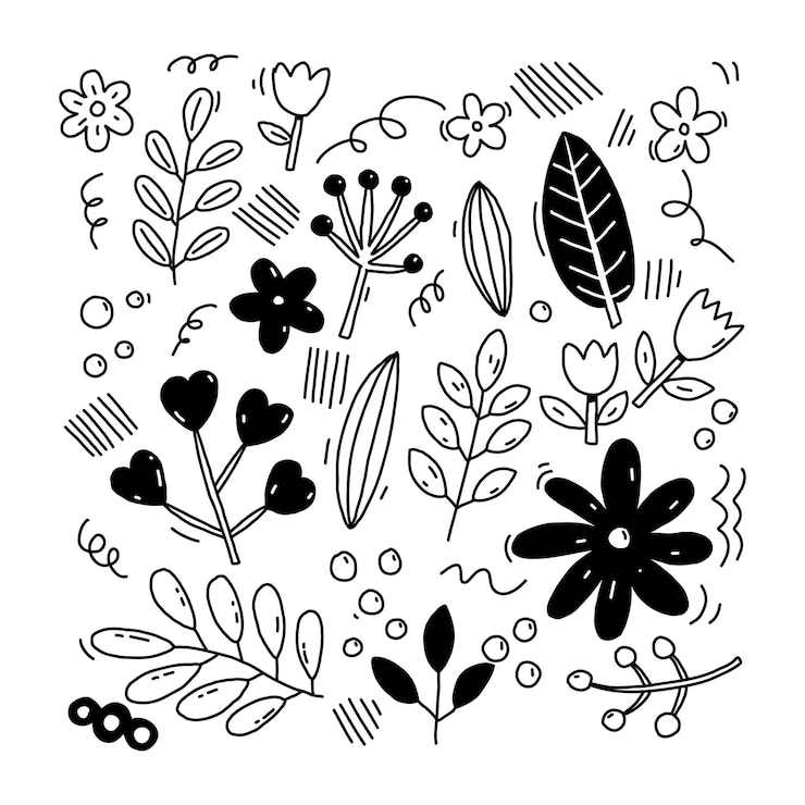 Vector y plantas y flores dibujadas a mano