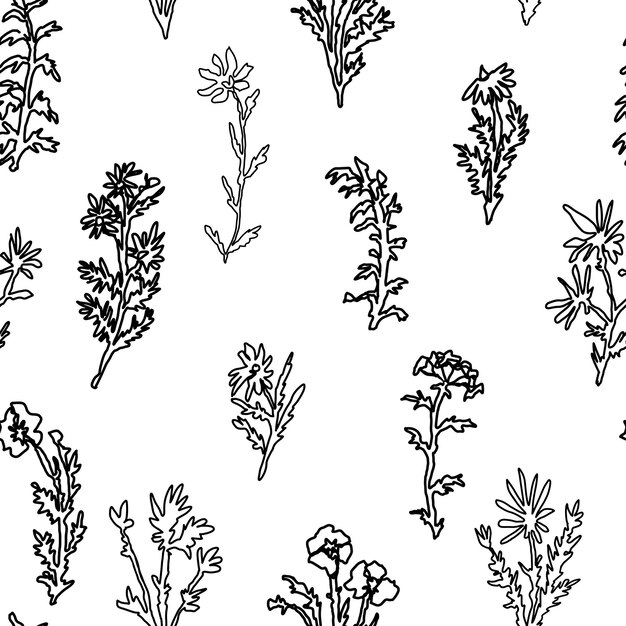Plantas y flores silvestres abstractas patrón sin costuras ornamento botánico de dibujo de líneas continuas