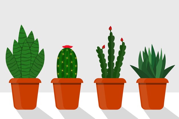 Plantas de habitación de estilo plano en macetas ilustración vectorial Cactus sansevieriya disocactus