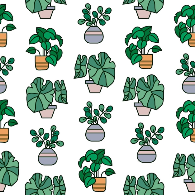 Plantas para el hogar en olla Patrón sin costuras