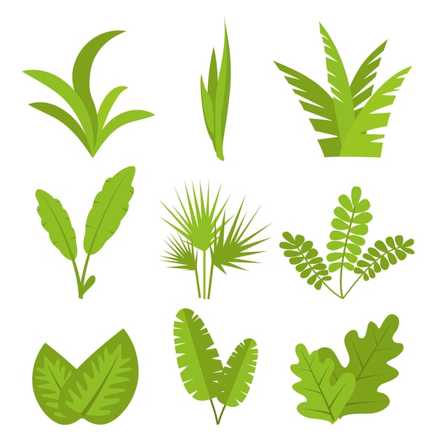 Plantas hojas ramas arbustos y macetas conjunto ilustración vectorial plana