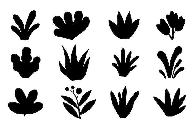 Plantas y hojas Vector Set Contorno Iconas de silueta en fondo blanco