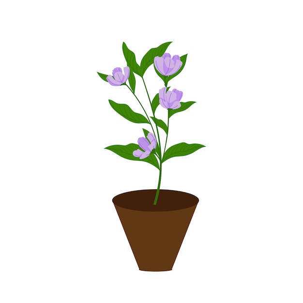 Plantas en icono de maceta aislado sobre fondo blanco. ilustración vectorial en estilo de dibujos animados para diseño gráfico y web