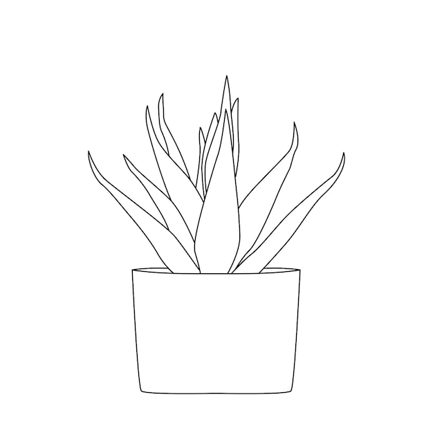Plantas de interior dibujadas a mano en macetas que incluyen herramientas de jardín de aloe Colección vectorial de plantas de garabato