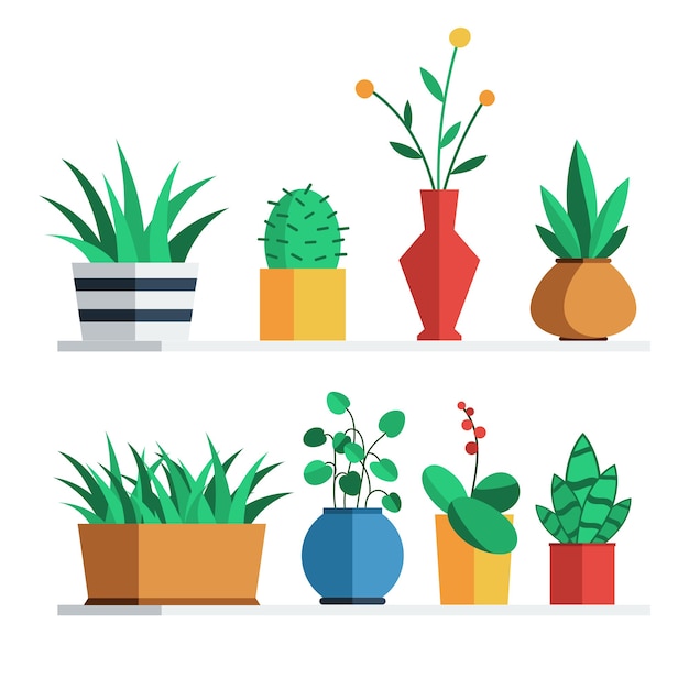 Plantas de interior y flores en macetas de colores en el estante para decoración de interiores de hogar u oficina.