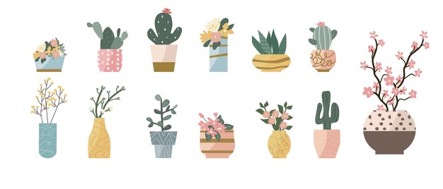 Plantas de interior y flores en ollas y jarrones conjunto de ilustraciones vectoriales suculentas flores de cactus y