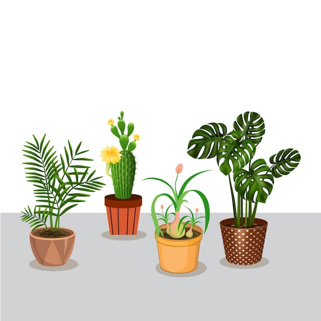 Vector plantas de interior y ilustración de árboles