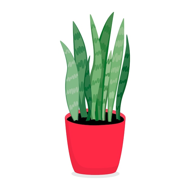 Plantas de interior Jardinería de la casa y la oficina