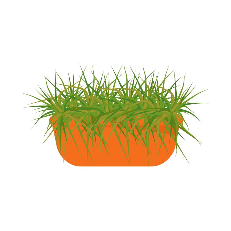 Vector plantas de interior en una maceta interior diseño escandinavo elemento de diseño