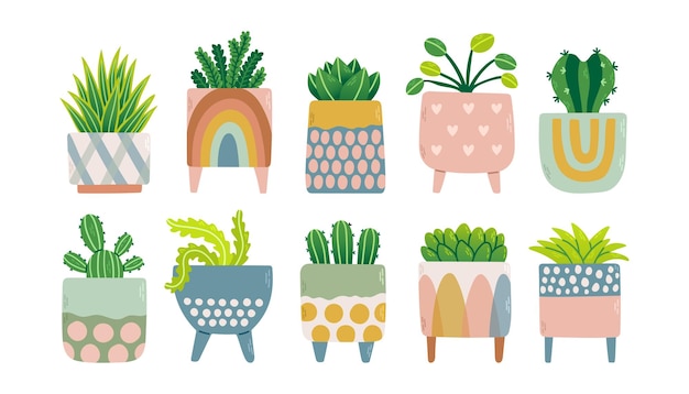 Vector plantas de interior en macetas de colores. decoración moderna para el hogar con ilustraciones vectoriales de plantas. flores