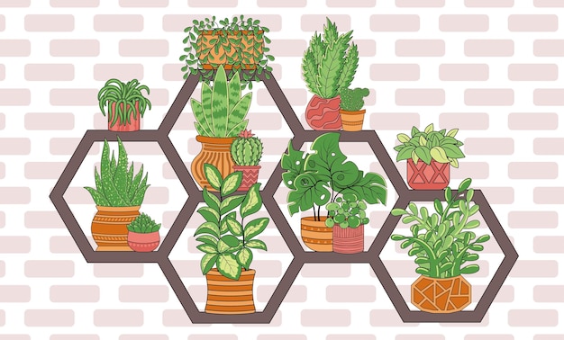 Plantas de interior en macetas en un estante de nido de abeja casero de madera