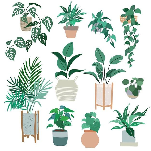 Plantas de interior en macetas, ilustración plana dibujada a mano de moda, diseño de jungla urbana, plantas tropicales.