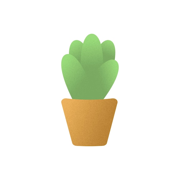 Vector plantas de interior en macetas con textura de grano ilustración vectorial cactus suculentos