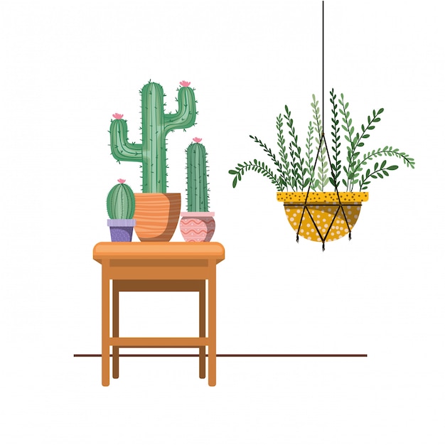 Plantas de interior en perchas y mesa de macramé