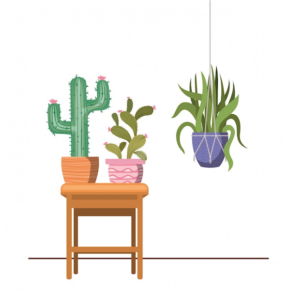 Plantas de interior en perchas y mesa de macramé