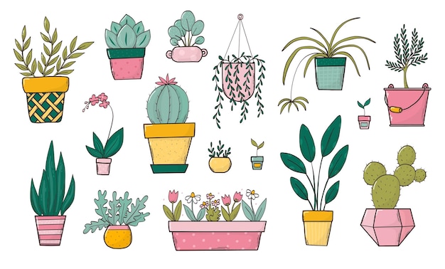 Plantas de interior, plantas para el hogar, colección de garabates coloridos.